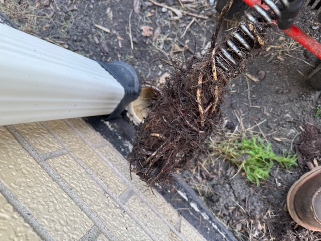 Downspout Locating & Rodding in Darien, IL